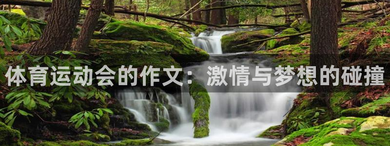 体育运动会的作文：激情与梦想的碰撞