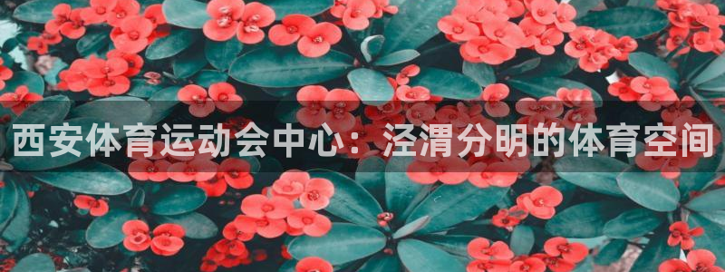 西安体育运动会中心：泾渭分明的体育空间