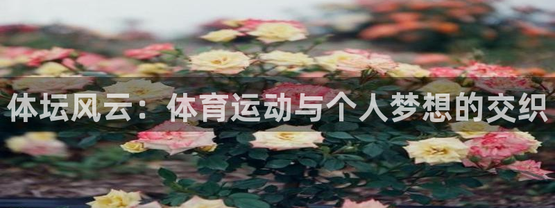 体坛风云：体育运动与个人梦想的交织