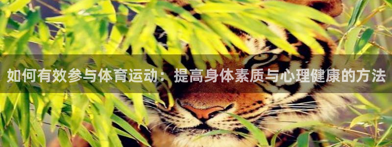如何有效参与体育运动：提高身体素质与心理健康的方法