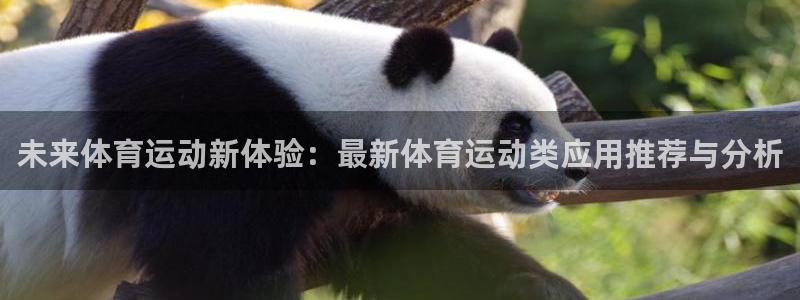 未来体育运动新体验：最新体育运动类应用推荐与分析