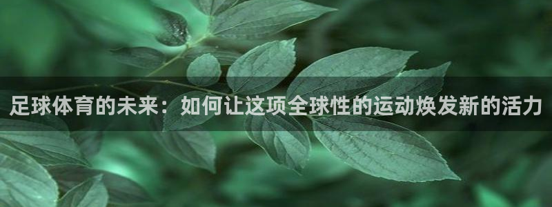 足球体育的未来：如何让这项全球性的运动焕发新的活力