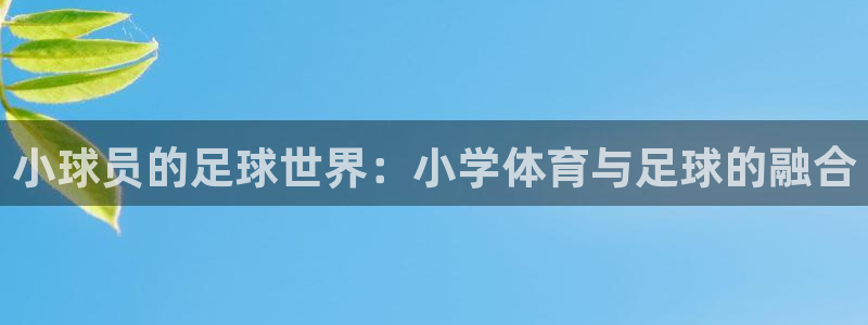 小球员的足球世界：小学体育与足球的融合