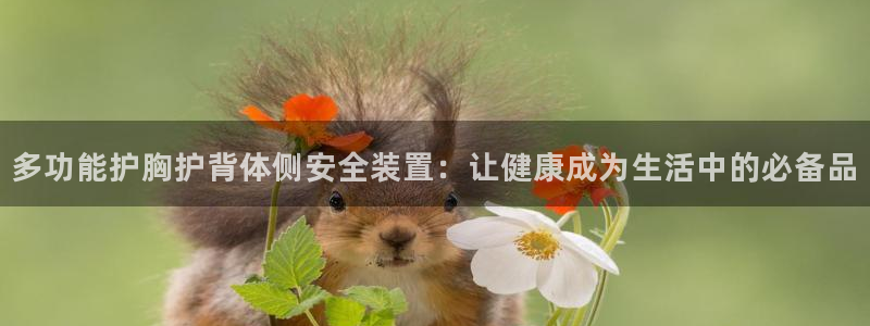 多功能护胸护背体侧安全装置：让健康成为生活中的必备品